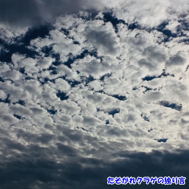 雲